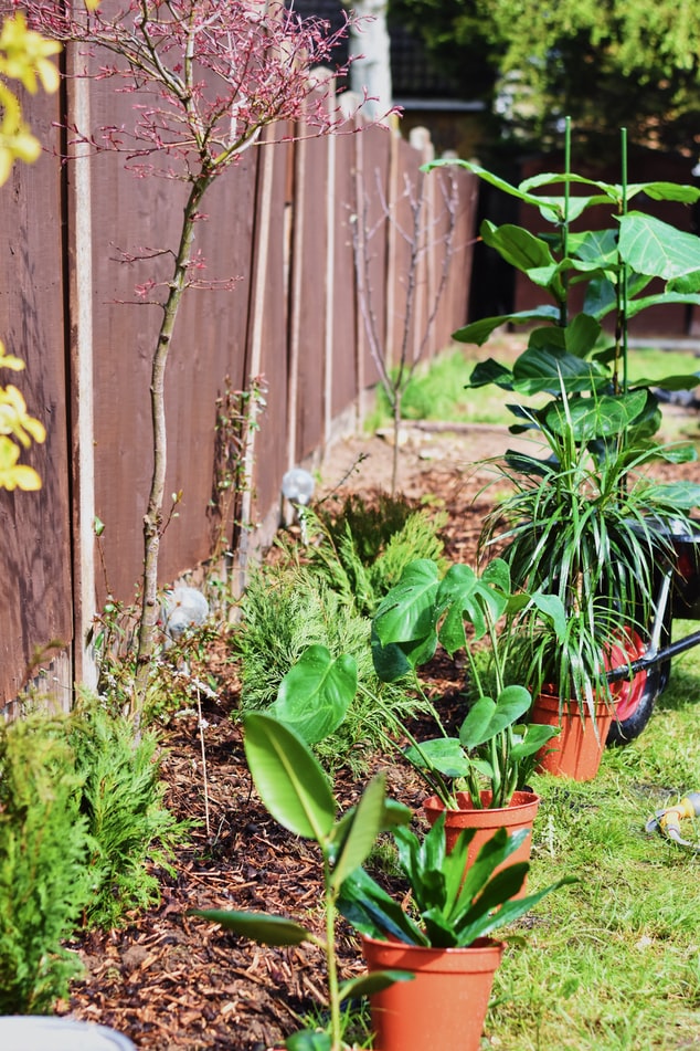 Estilos de jardín para inspirar tu patio trasero (+5 opciones) - Decoristas