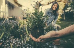 qué hacer antes de cultivar un jardín